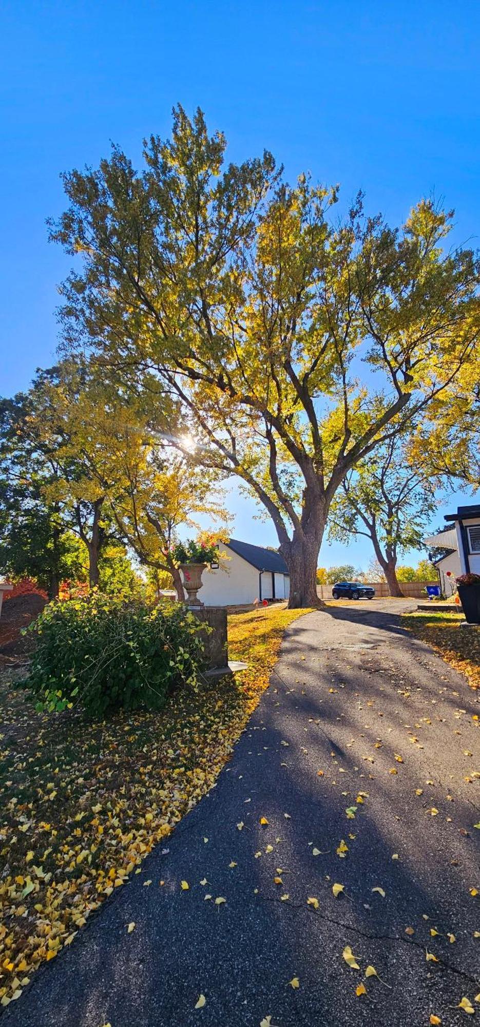 1908 Modern Farmhouse On Large Private Treed Lot Shawnee Zewnętrze zdjęcie